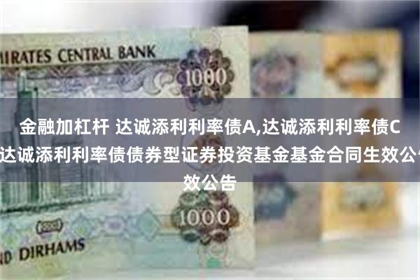 金融加杠杆 达诚添利利率债A,达诚添利利率债C: 达诚添利利率债债券型证券投资基金基金合同生效公告