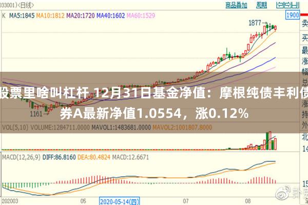 股票里啥叫杠杆 12月31日基金净值：摩根纯债丰利债券A最新净值1.0554，涨0.12%