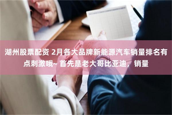 湖州股票配资 2月各大品牌新能源汽车销量排名有点刺激哦~ 首先是老大哥比亚迪，销量