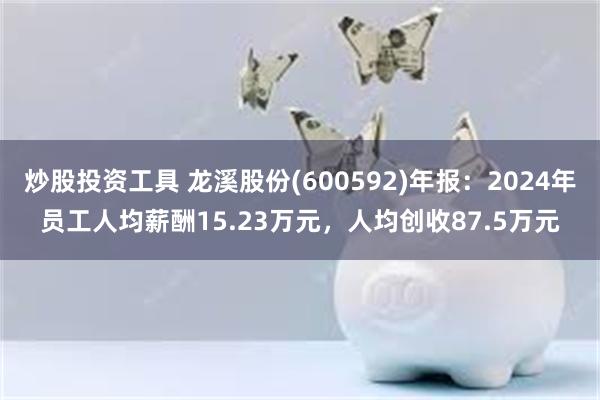 炒股投资工具 龙溪股份(600592)年报：2024年员工人均薪酬15.23万元，人均创收87.5万元
