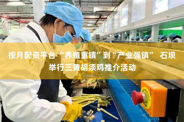 按月配资平台 “养殖重镇”到“产业强镇”  石坝举行三黄胡须鸡推介活动