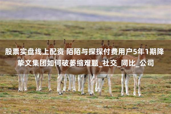 股票实盘线上配资 陌陌与探探付费用户5年1期降 挚文集团如何破萎缩难题_社交_同比_公司