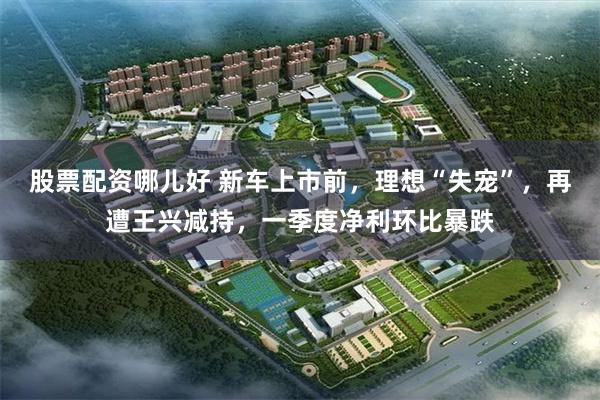 股票配资哪儿好 新车上市前，理想“失宠”，再遭王兴减持，一季度净利环比暴跌
